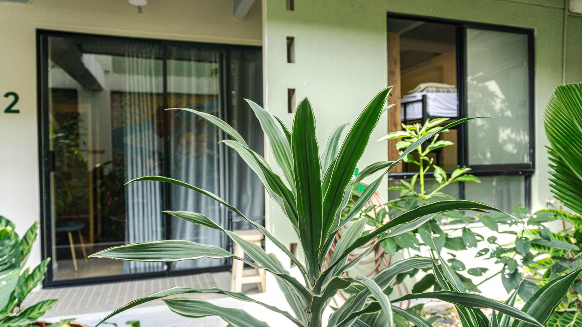 Selva House Bed & Breakfast เมเดยิน ภายนอก รูปภาพ