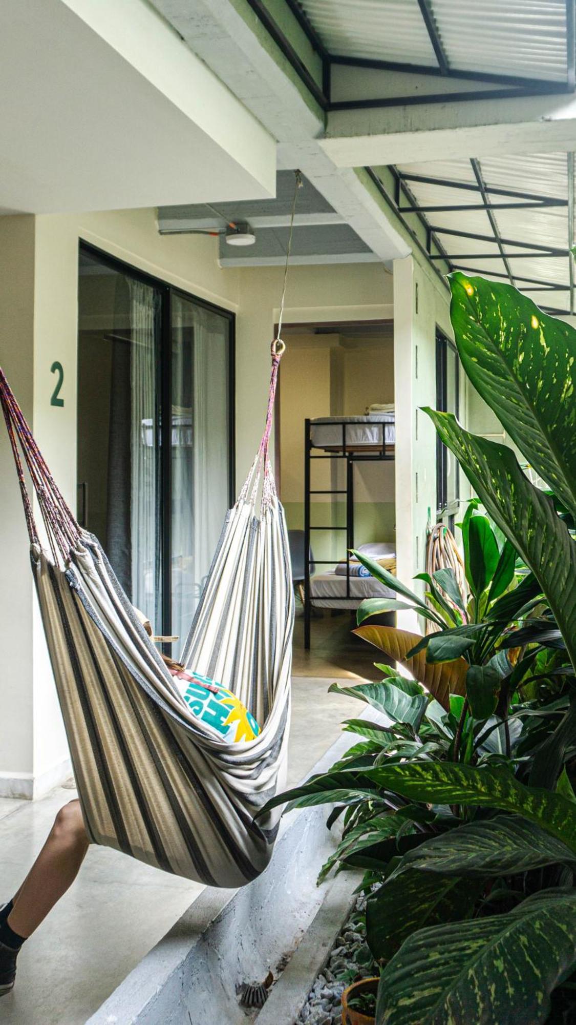 Selva House Bed & Breakfast เมเดยิน ภายนอก รูปภาพ