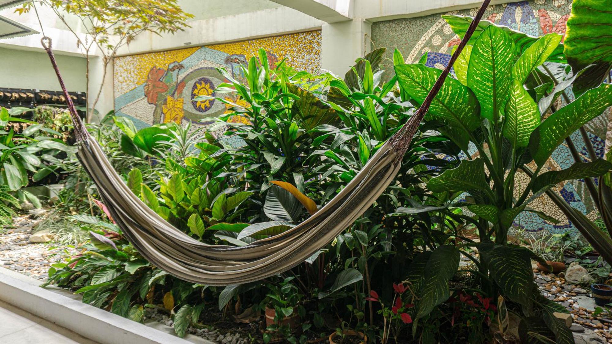Selva House Bed & Breakfast เมเดยิน ภายนอก รูปภาพ